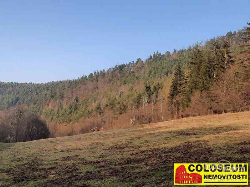 Dolní Loučky - lesní pozemek 241.829 m2 - pozemek - foto 14