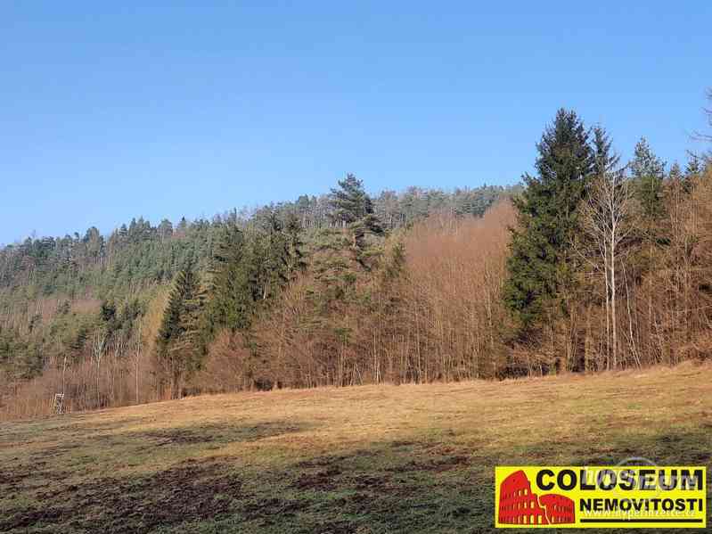 Dolní Loučky - lesní pozemek 241.829 m2 - pozemek - foto 15