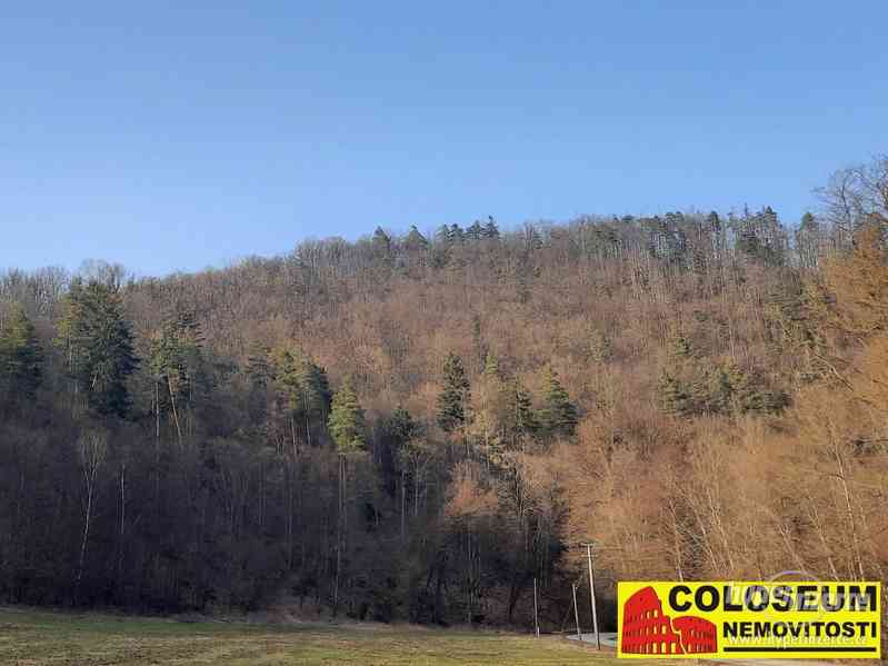 Dolní Loučky - lesní pozemek 241.829 m2 - pozemek - foto 16
