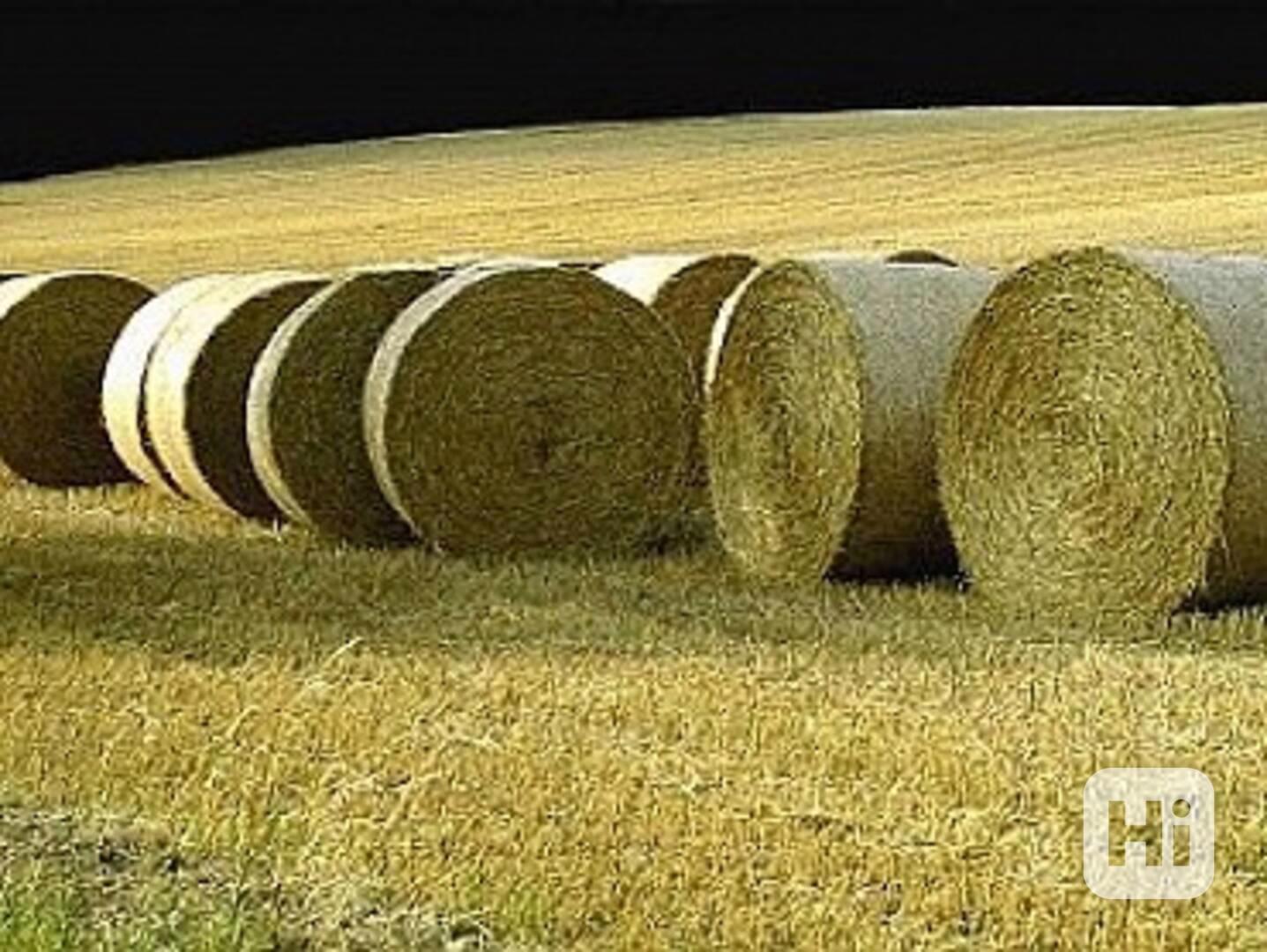 Ovesná a pšeničná sláma  - foto 1