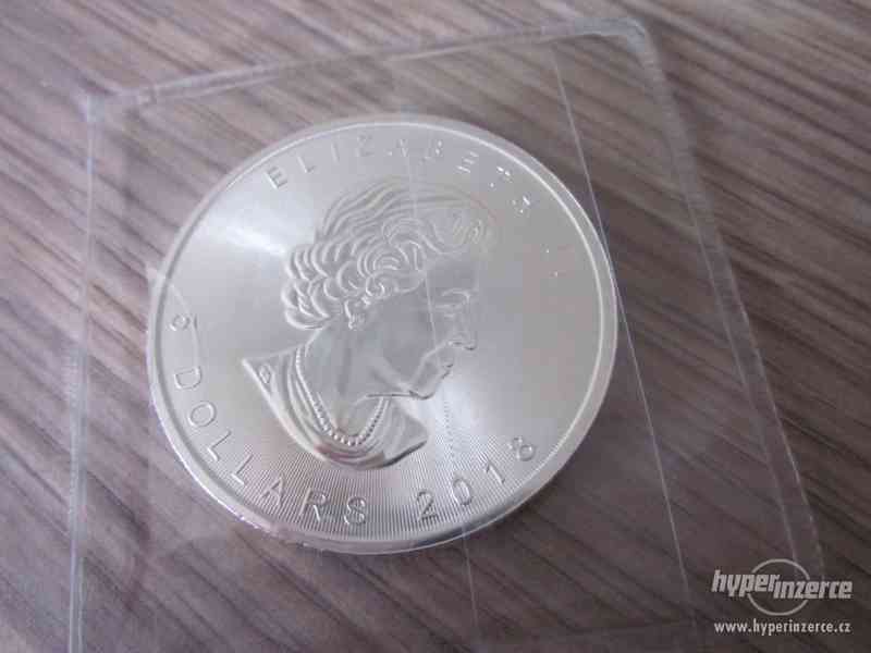 Stříbrná mince Maple Leaf 1 Oz