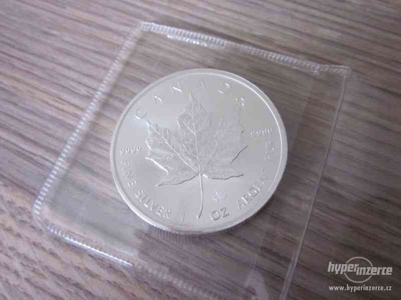 Stříbrná mince Maple Leaf 1 Oz - foto 2