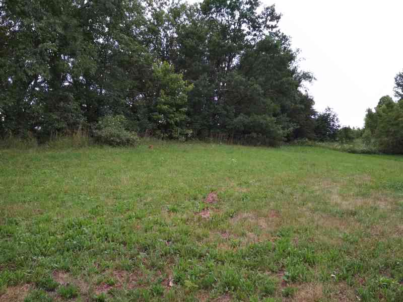 Pozemek k zástavbě a přidružené louky - Benešov u Semil - foto 6