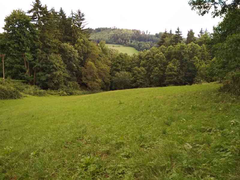 Pozemek k zástavbě a přidružené louky - Benešov u Semil - foto 4