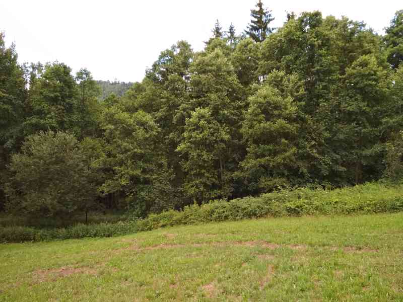 Pozemek k zástavbě a přidružené louky - Benešov u Semil - foto 8