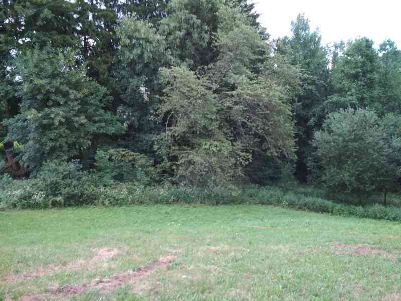 Pozemek k zástavbě a přidružené louky - Benešov u Semil - foto 7