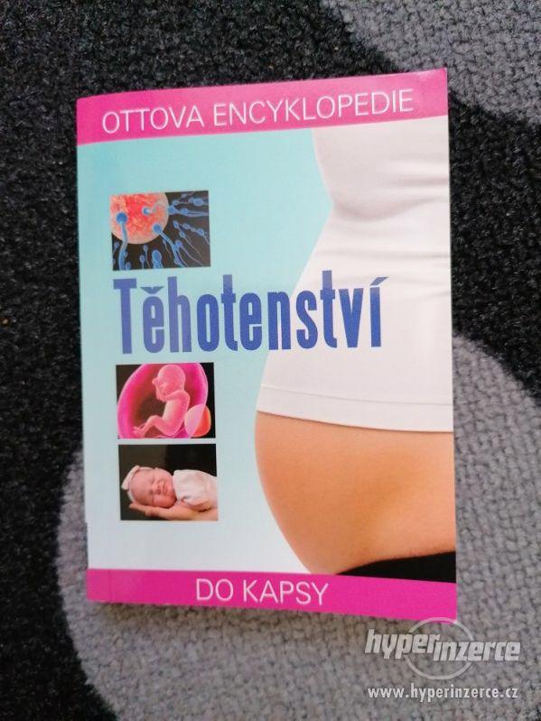 Ottova encyklopedie Těhotenství do kapsy - foto 1