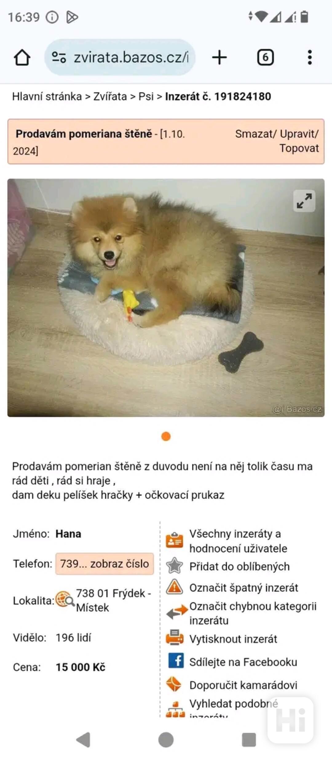 Štěně  - foto 1