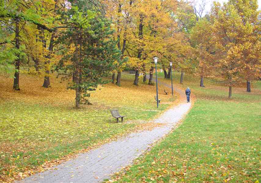 Pronajmu  1+kk Brno,  St.Lískovec,  U Leskavy.  42 m2 - foto 29