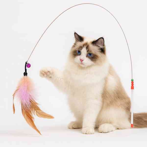 Interaktivní růžový prut s peřím a rolničkou pro kočky 