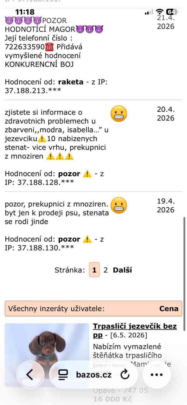 Jezevčík hladkosrstý trpasličí  - foto 2