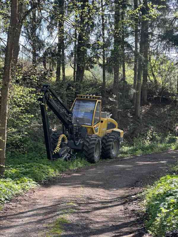 Prodej lesa / dříví / lesní služby - foto 5