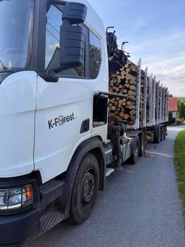 Prodej lesa / dříví / lesní služby - foto 2