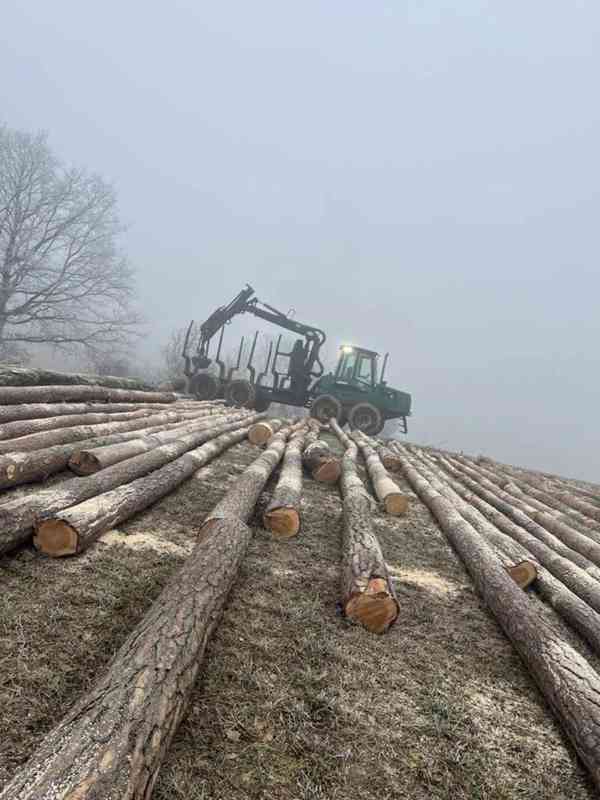 Prodej lesa / dříví / lesní služby - foto 4