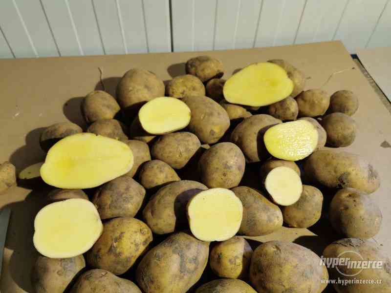 Nabízím konzumní brambory vhodné na uskladnění - foto 1