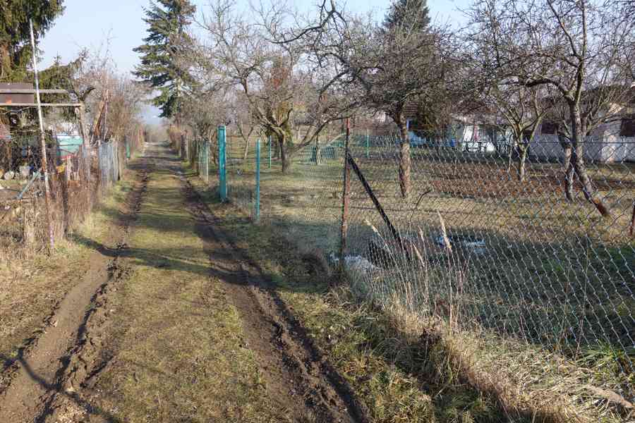 Prodej zahrady v Králově Poli v Brně - foto 2