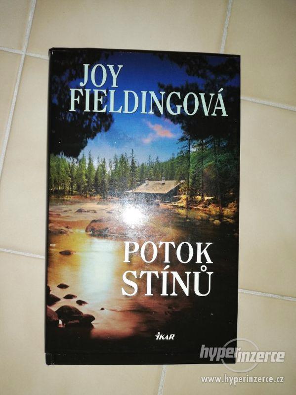 Kniha Potok stínů, Joy Fieldingová - foto 1