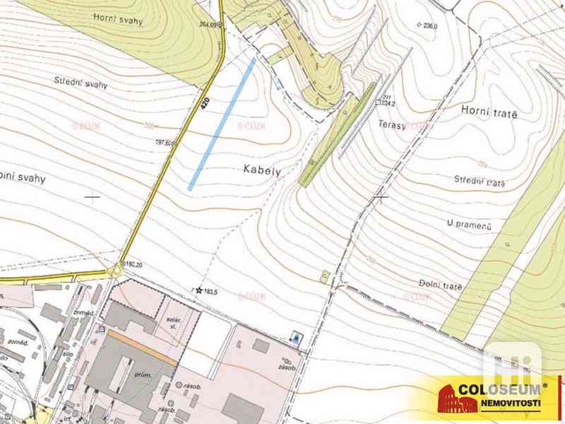 Hustopeče u Brna, zemědělská půda, 6.637 m2, pachtovní smlouva – pozemek - foto 3