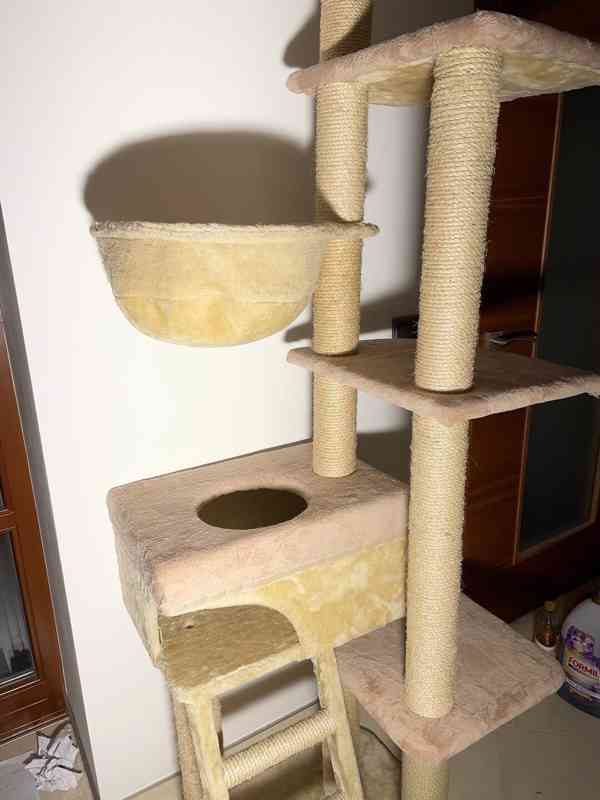 Kočičí věž - foto 2