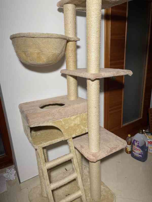 Kočičí věž