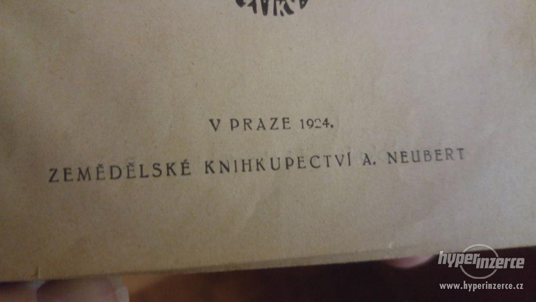 Červený Bedrník  Em. Orczyová  (román) 1924 - foto 3