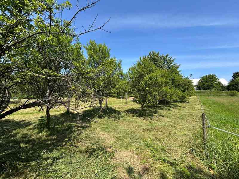 Zahrada 650m² v osobním vlastnictví - foto 14