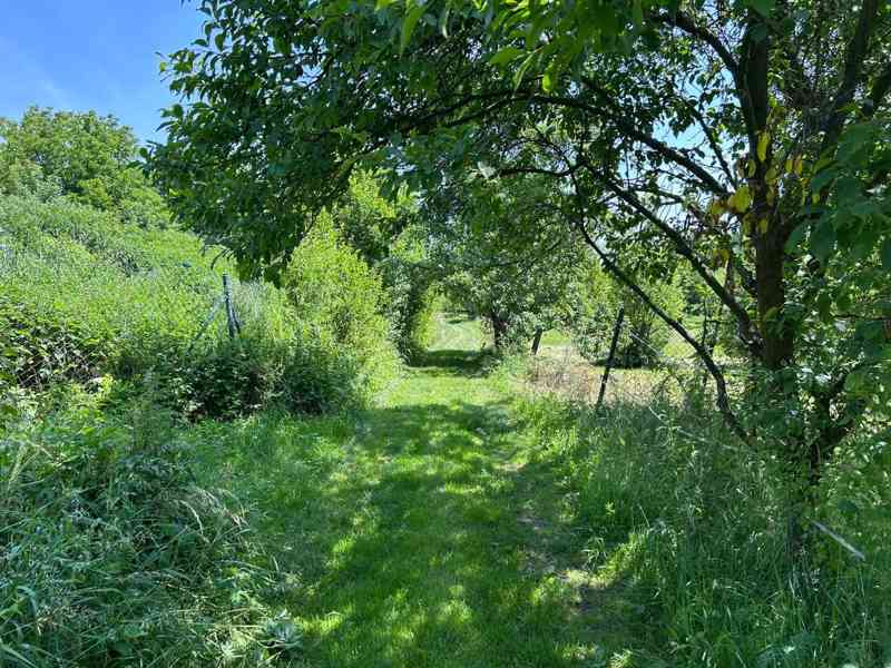 Zahrada 650m² v osobním vlastnictví - foto 7