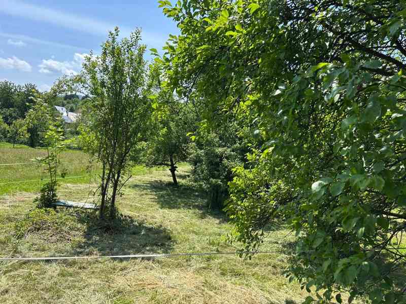 Zahrada 650m² v osobním vlastnictví - foto 12