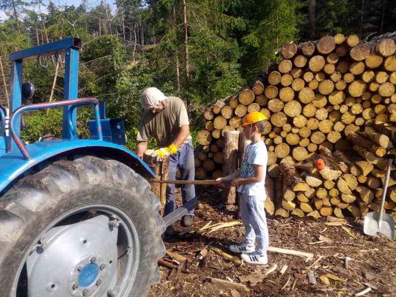 Koupim traktor massey ferguson  mf 35 25,ford - foto 2