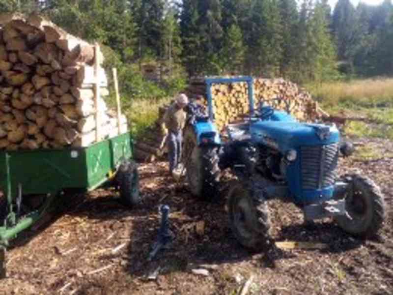 Koupim traktor massey ferguson  mf 35 25,ford - foto 1