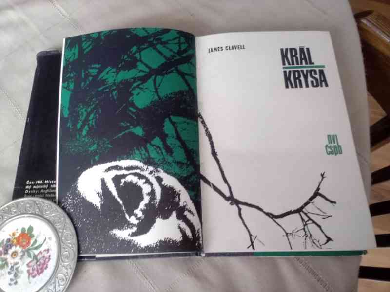 Král Krysa - foto 2
