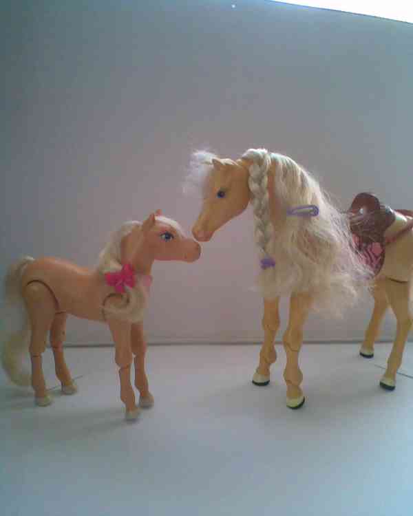Barbie veterina se zvířátky - foto 26