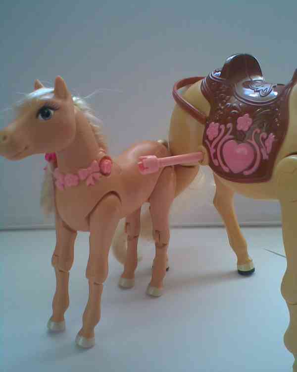 Barbie veterina se zvířátky - foto 27