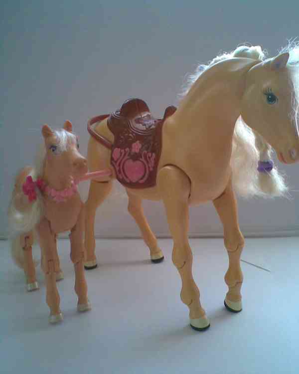 Barbie veterina se zvířátky - foto 28