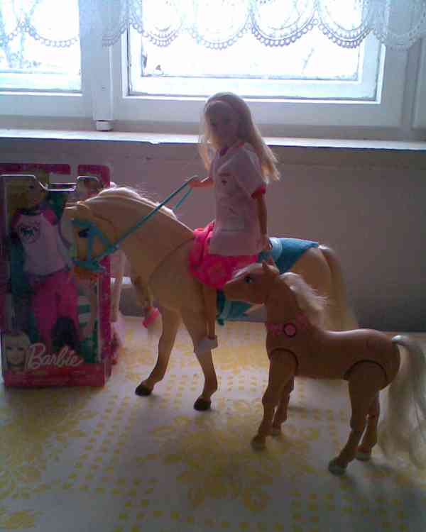 Barbie veterina se zvířátky - foto 18