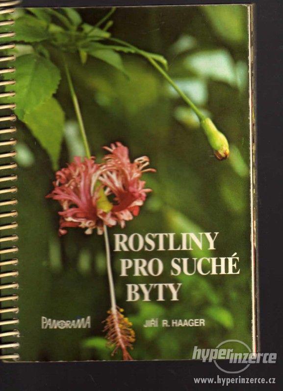 - Rostliny pro suché byty   Jiří R. Haager- 1989 - foto 1