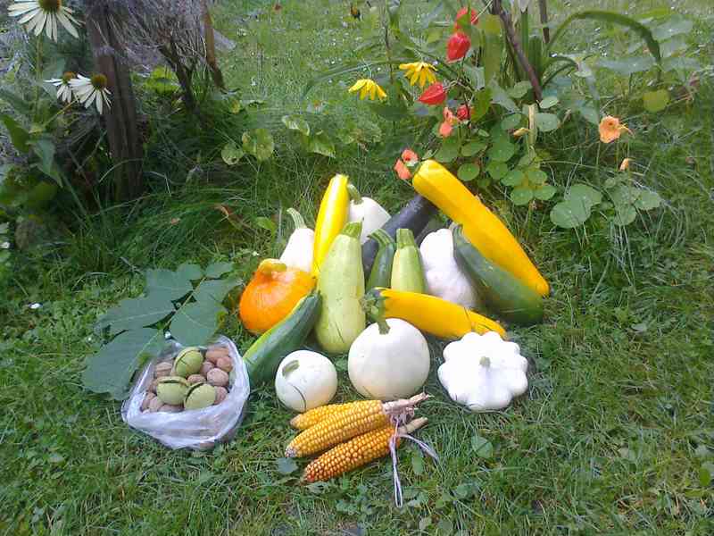 Pronájem ZAHRÁDKY Praha 5, Zbraslav-Lipence - foto 2