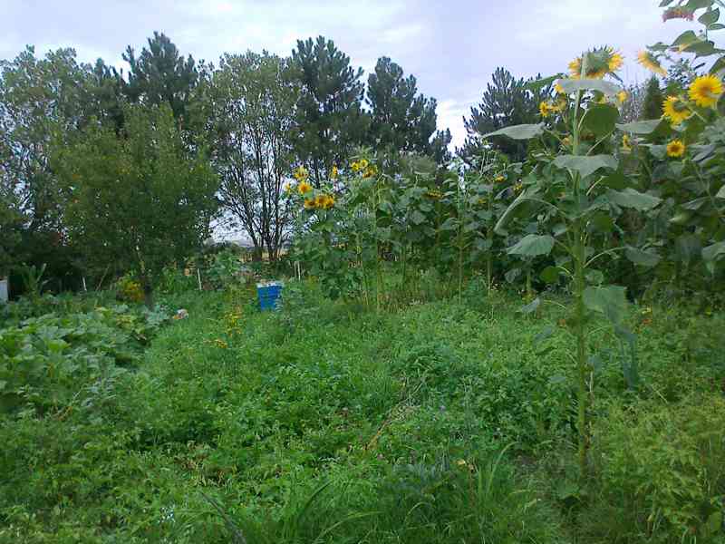 Pronájem ZAHRÁDKY Praha 5, Zbraslav-Lipence - foto 3