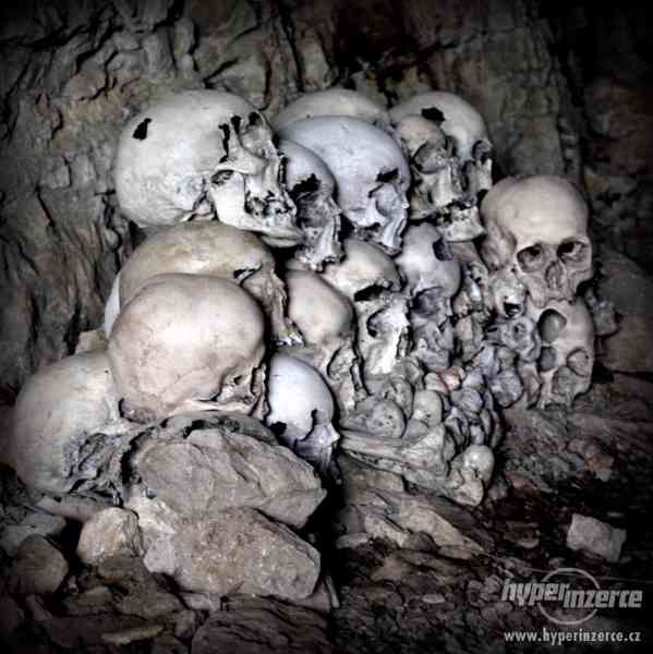 Repliky lidských lebek a kostí (Human skull replica) - foto 7