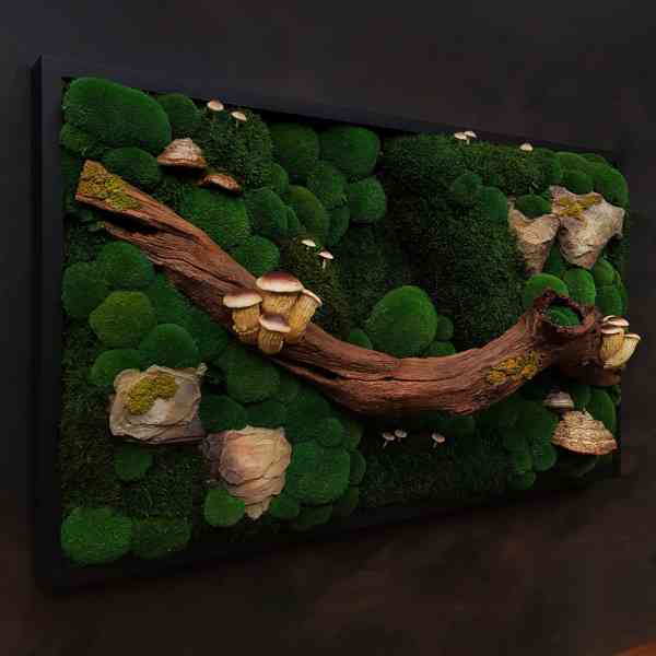 Mechový obraz / obraz ze stabilizovaného mechu - foto 2