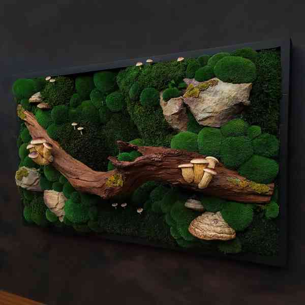 Mechový obraz / obraz ze stabilizovaného mechu - foto 3