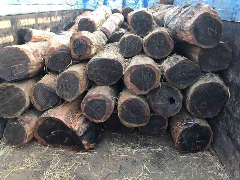 Timbars  in Africa uganda 