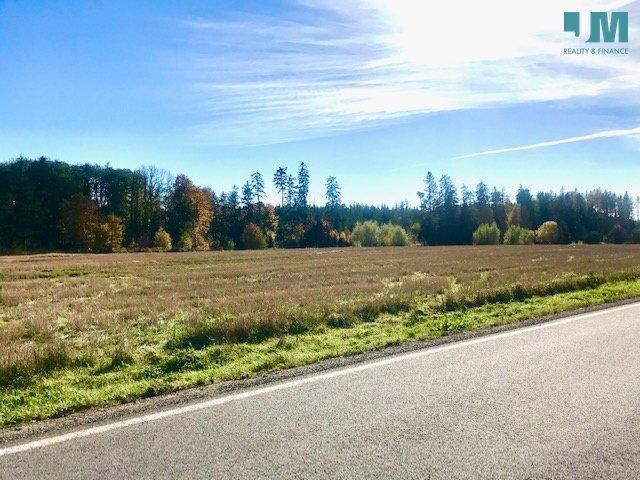 Prodej, Pozemky pro komerční výstavbu, 1354 m2 - Želetava - Šašovice - foto 4