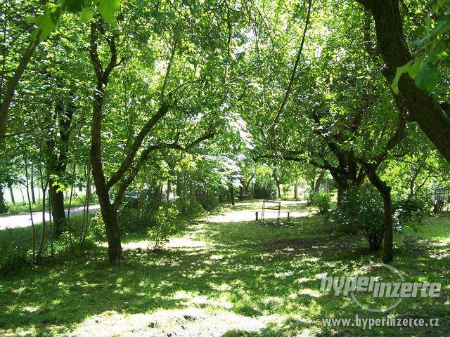 Prodej zahrady 1323 m2, Trhové Sviny - foto 1