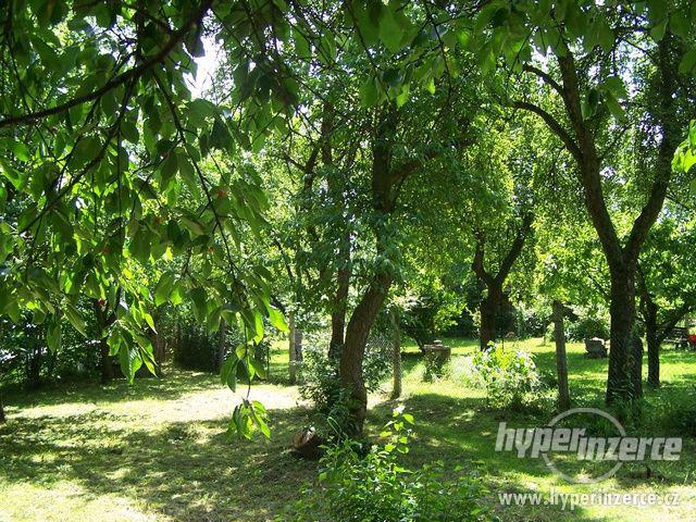Prodej zahrady 1323 m2, Trhové Sviny - foto 2