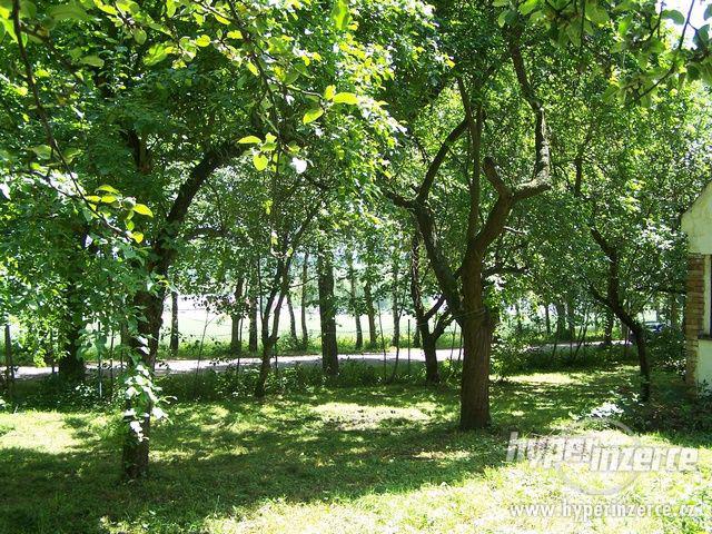 Prodej zahrady 1323 m2, Trhové Sviny - foto 3