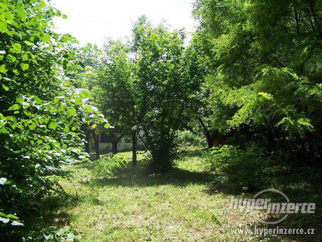 Prodej zahrady 1323 m2, Trhové Sviny - foto 4