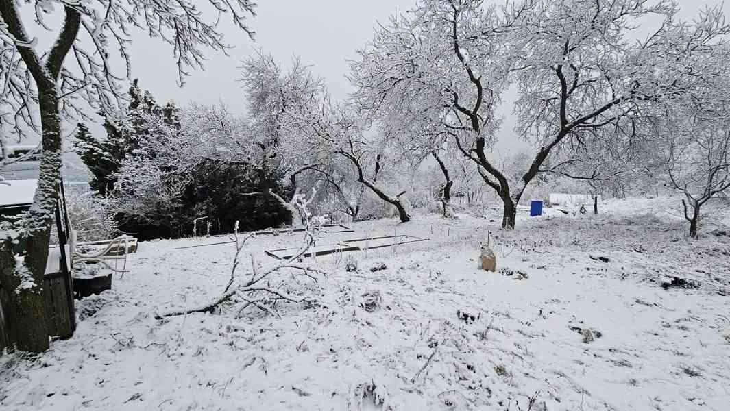 Zahrada s chatkou Brno Lesná,rovina,vodovod,parkoviště, mhd - foto 5