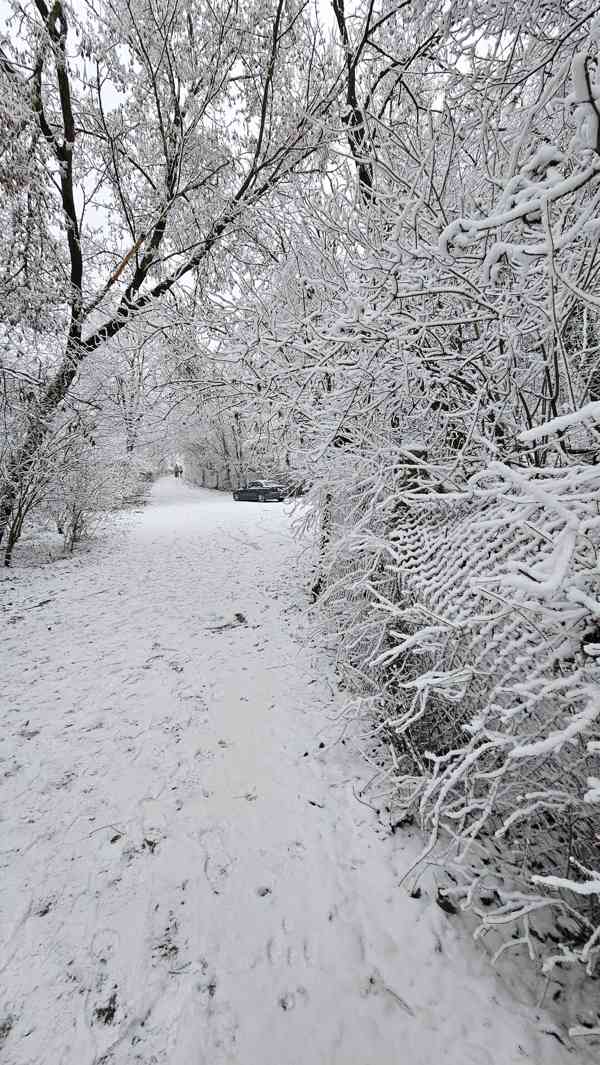 Zahrada s chatkou Brno Lesná,rovina,vodovod,parkoviště, mhd - foto 6