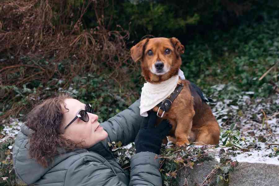 FERDA - 9 kg, kastrovaný psík 11 let  - foto 1